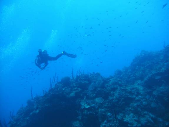 Mergulhando em Round Rock, em Grand Cayman, nas Ilhas Caiman